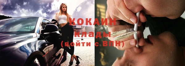 прущие грибы Балахна