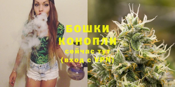 прущие грибы Балахна