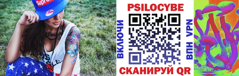 Псилоцибиновые грибы Cubensis  как найти закладки  Теберда 