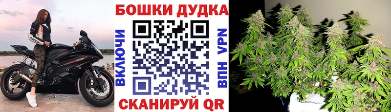 Шишки марихуана индика  блэк спрут зеркало  Теберда 